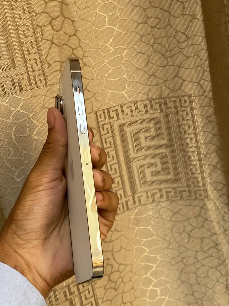 Apple iPhone 13 Pro Max 1