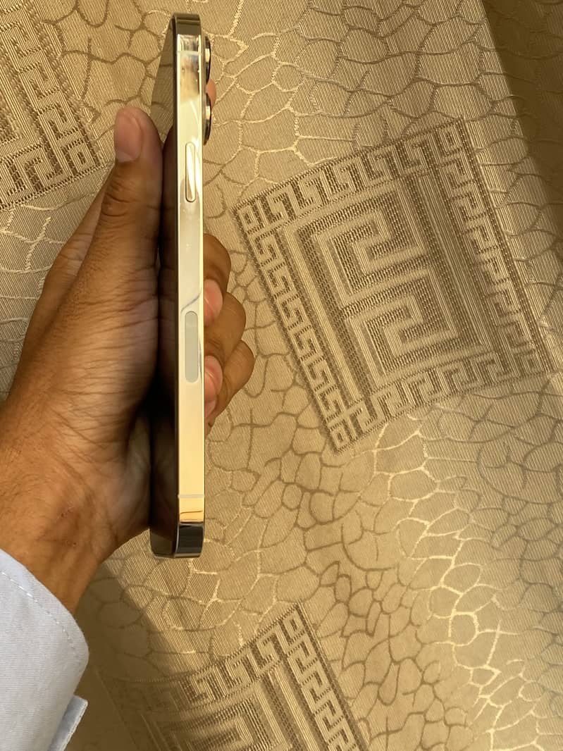 Apple iPhone 13 Pro Max 2