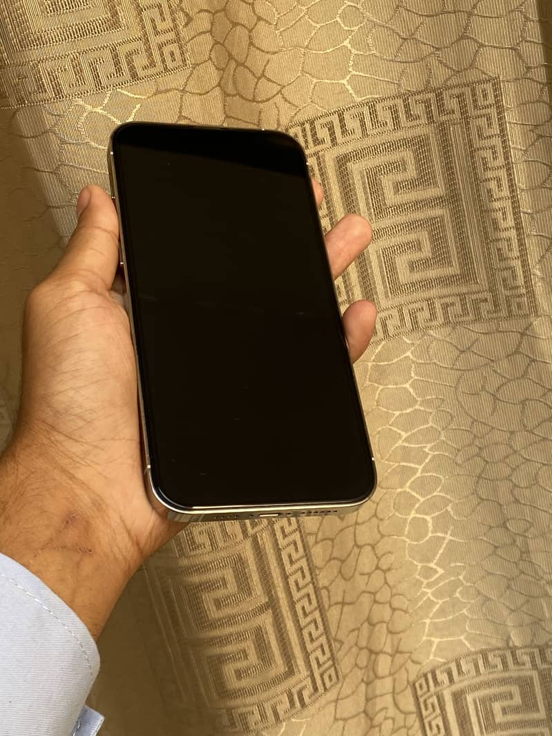 Apple iPhone 13 Pro Max 7