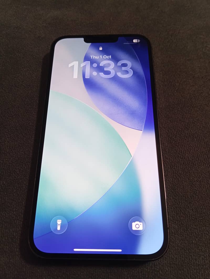 Apple iPhone 13 Pro Max 1