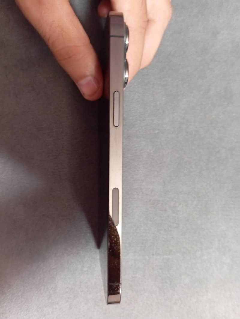 Apple iPhone 13 Pro Max 2