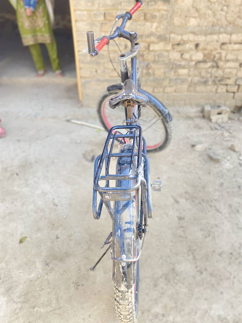 Cycle 3