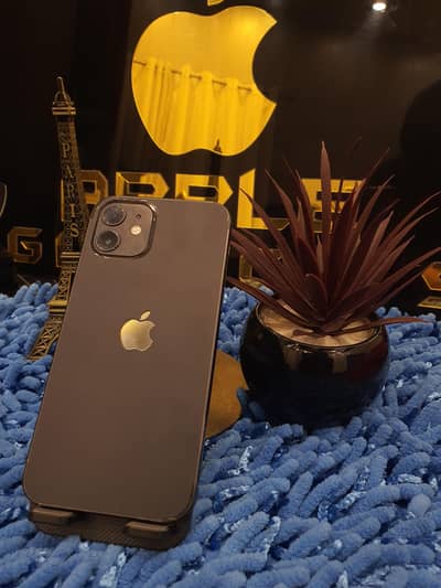 Apple iPhone 12
