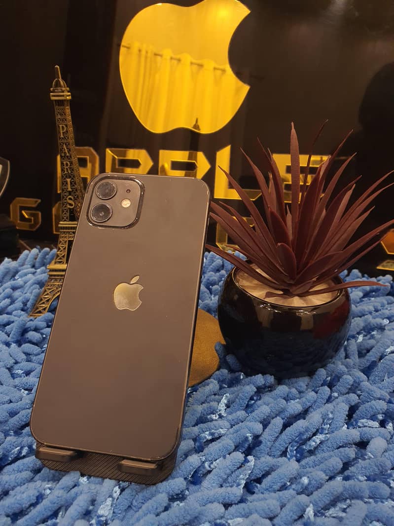Apple iPhone 12 6