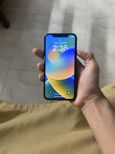 Apple iPhone X