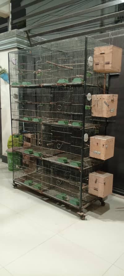 Urgent Birds Cages For Sale