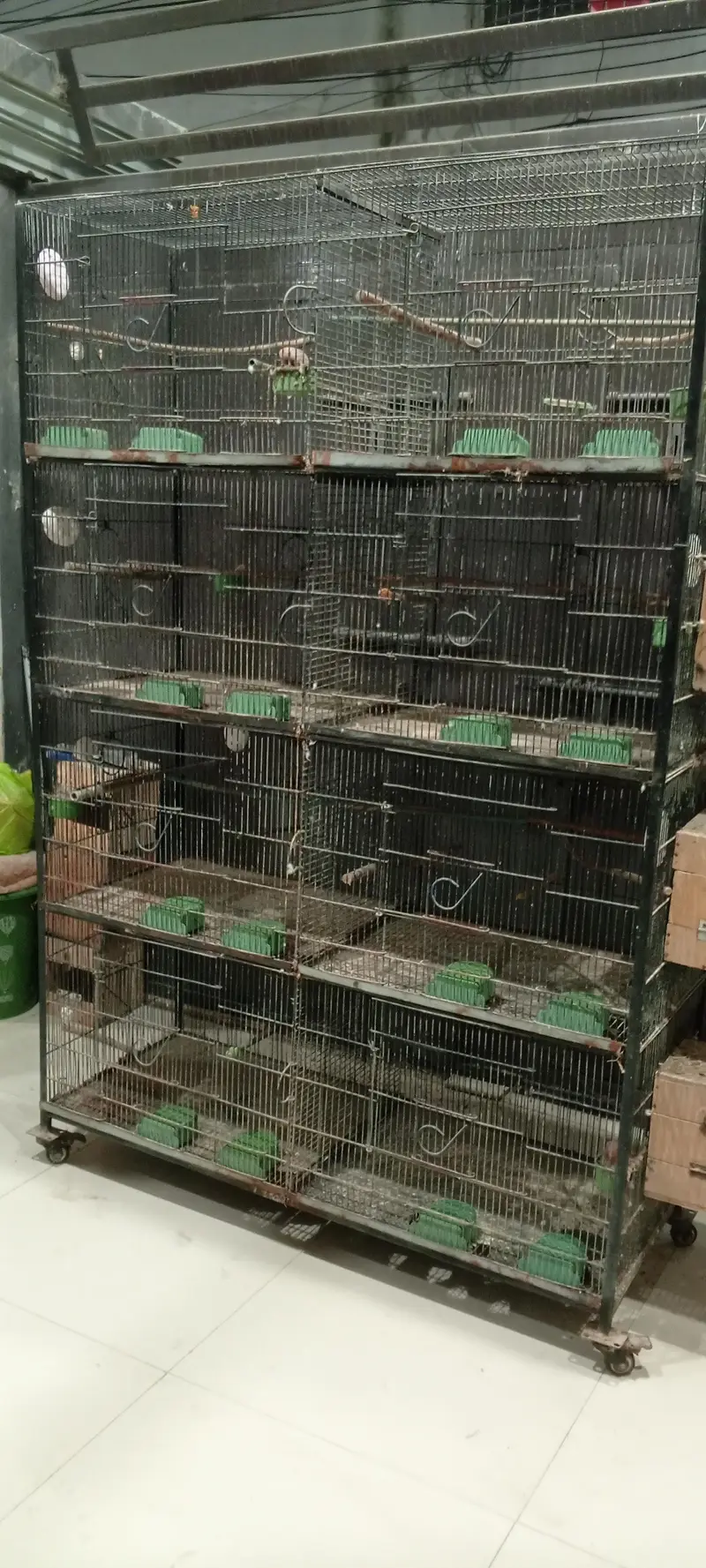 Urgent Birds Cages For Sale — photo 3