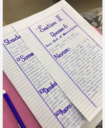 Handwriting Assignment, Typing And Data Entry job Available
