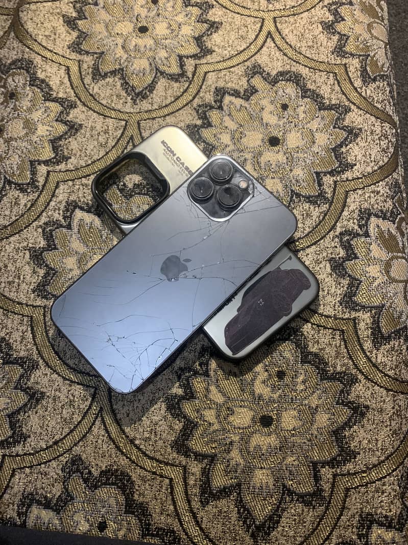 Apple iPhone 13 Pro Max 1