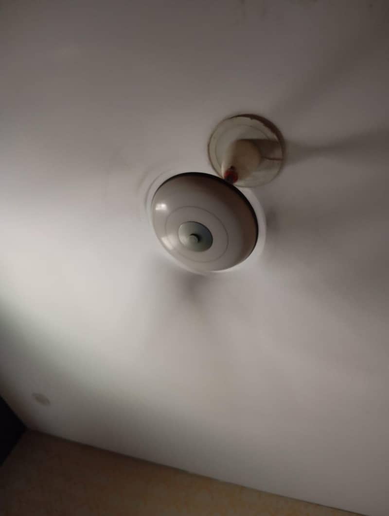 ceiling fan 1