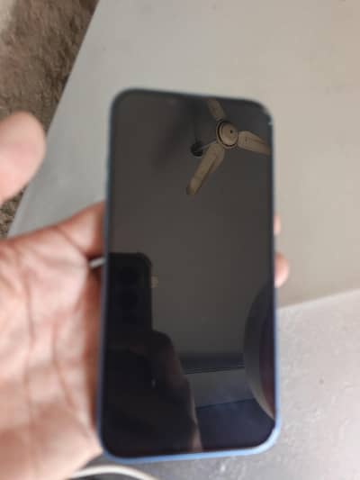 Apple iPhone 13