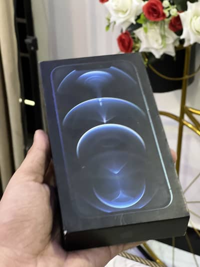 Apple iPhone 12 Pro Max