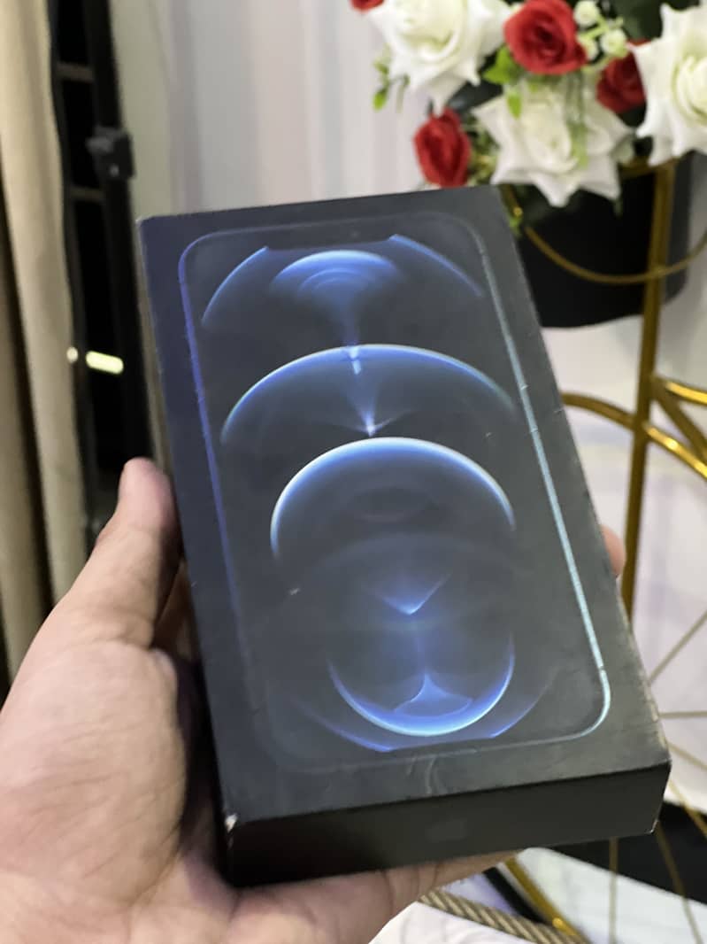 Apple iPhone 12 Pro Max 0