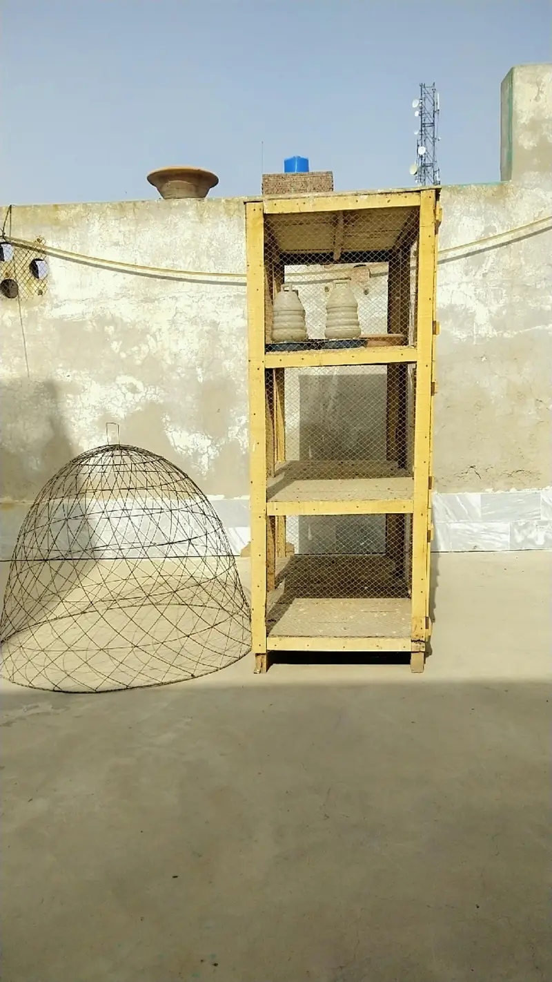 Wooden Birds Cage / Kabootar Ka Pinjra Description: — photo 2