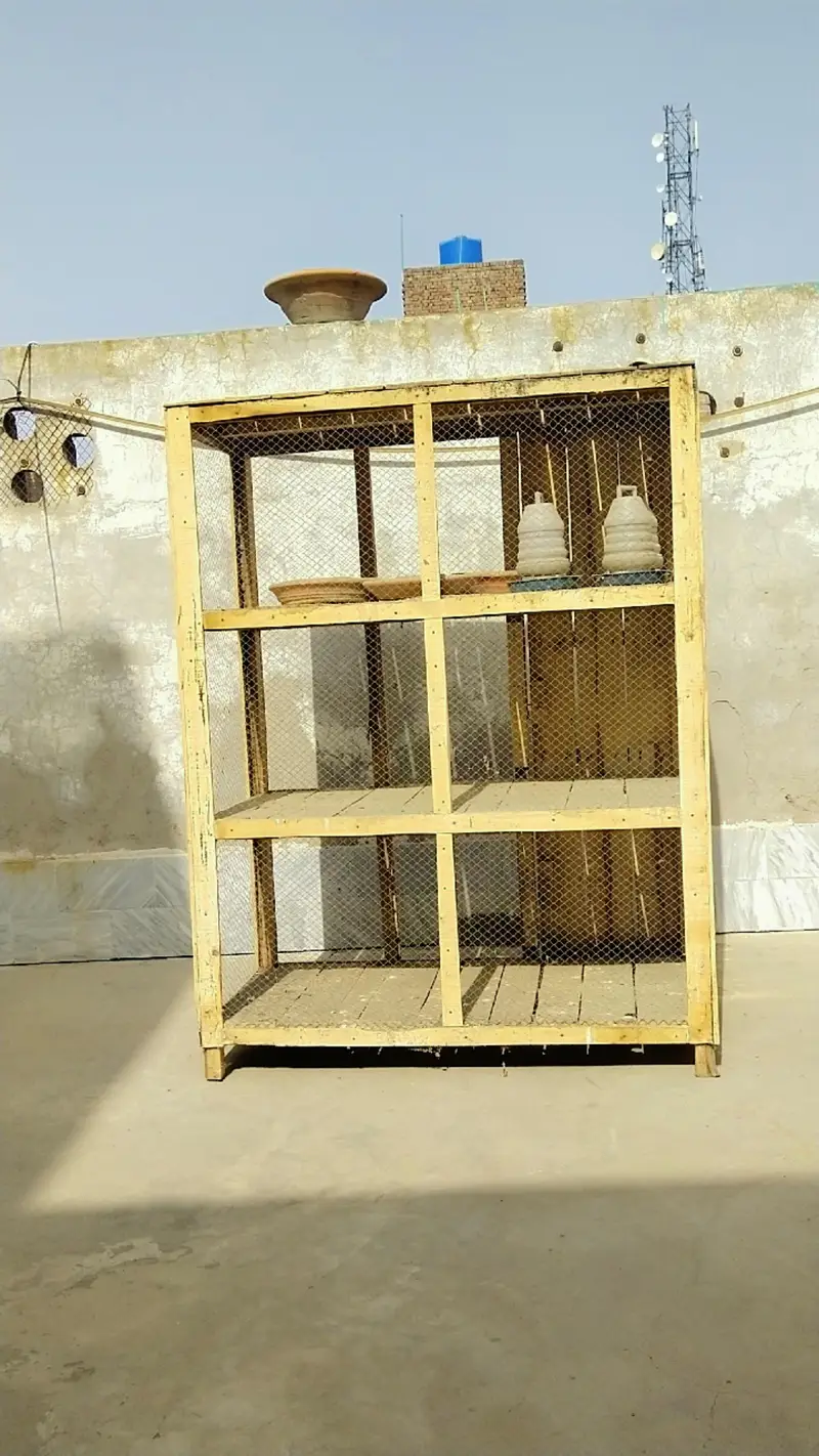 Wooden Birds Cage / Kabootar Ka Pinjra Description: — photo 3