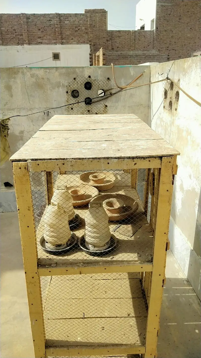 Wooden Birds Cage / Kabootar Ka Pinjra Description: — photo 4