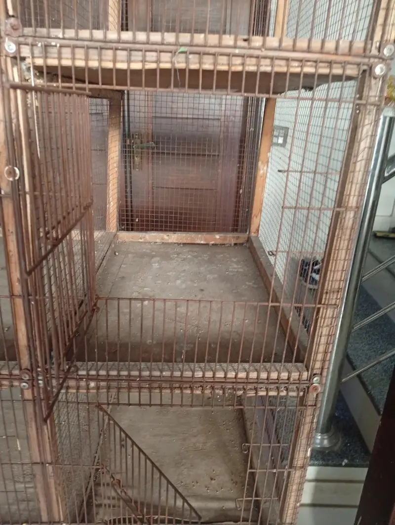 cage 10 portions. — photo 3