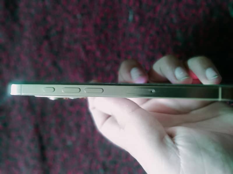 Apple iPhone 16 Pro Max 3