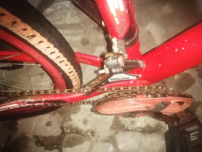 Imported apple cycle gears