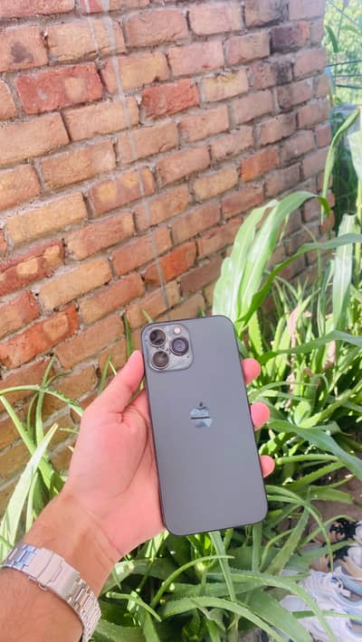 iPhone 13 Pro Max (No Exchange)