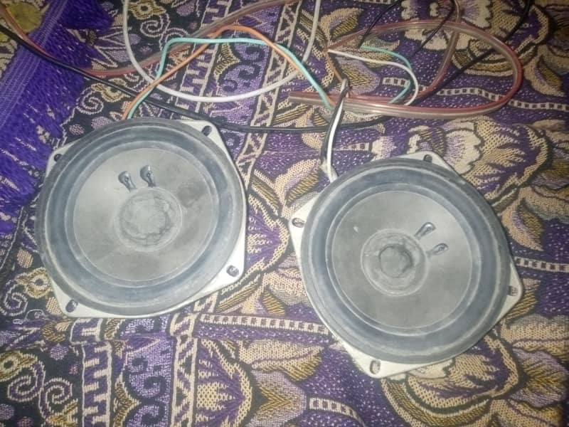 speaker 1