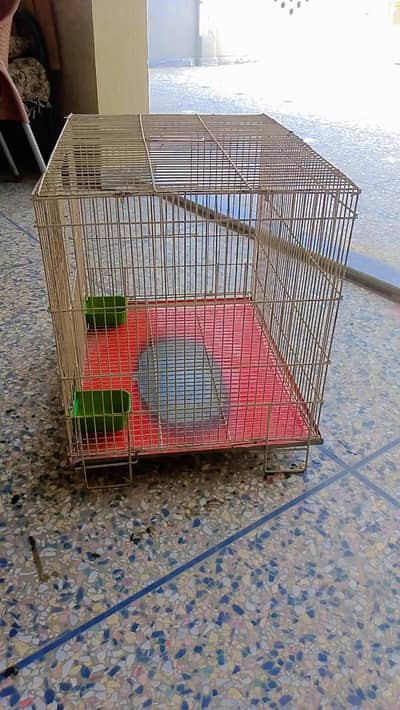Pinjra Cage
