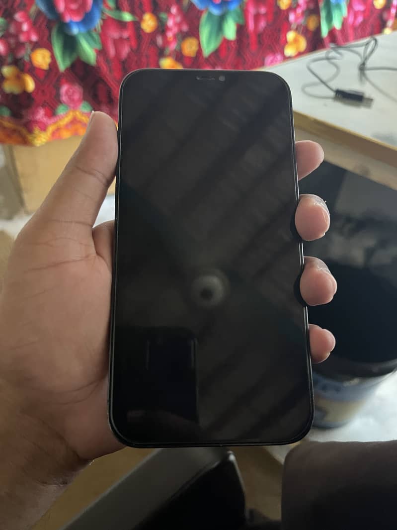 Apple iPhone 12 Pro Max 3