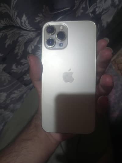 Apple iPhone 12 Pro Max