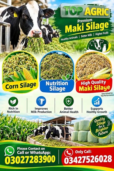 Silage ,Animals Feed , Corn Silage/ Animal Feed/ Maki Silage pure Feed