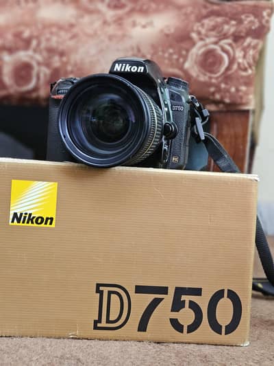 Nikon D750 + 28-75mm f/2.8 Lens | 9/10 Condition |