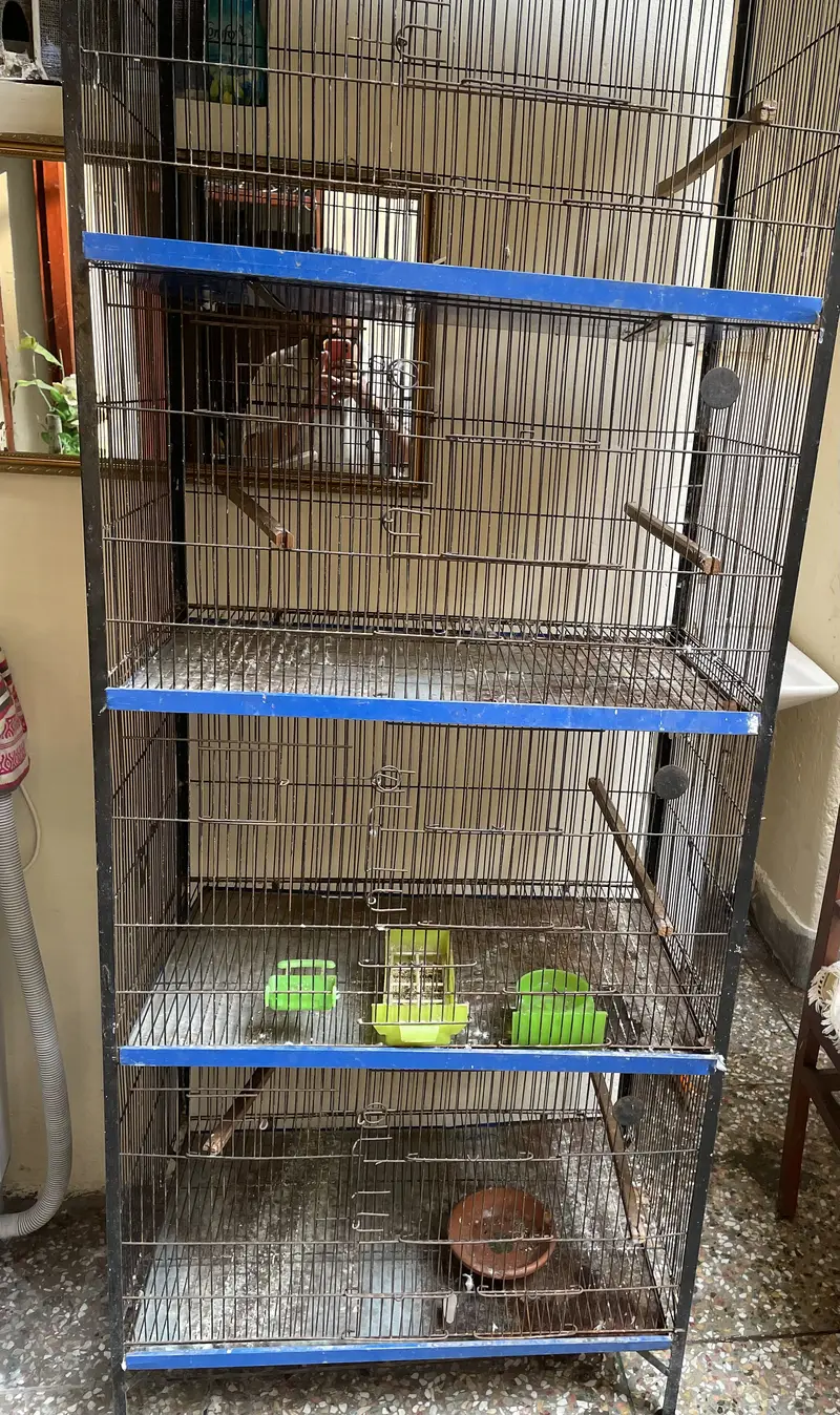 iron cage — photo 2