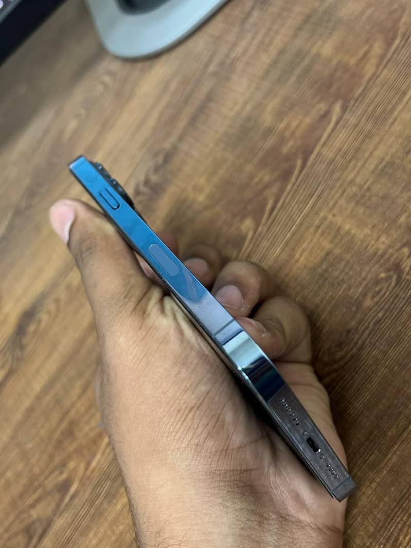 Apple iPhone 13 Pro Max 1
