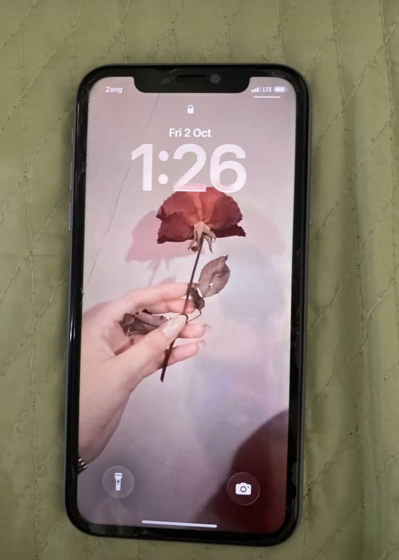 Apple iPhone 11 0
