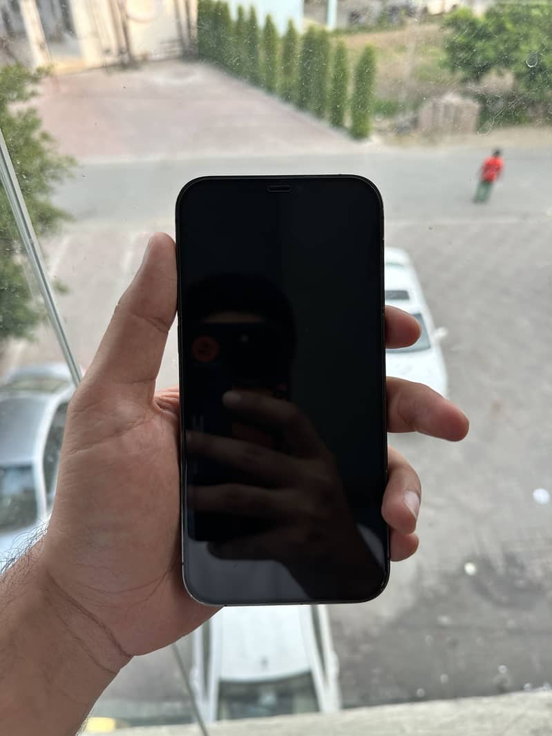 Apple iPhone 12 Pro Max 2