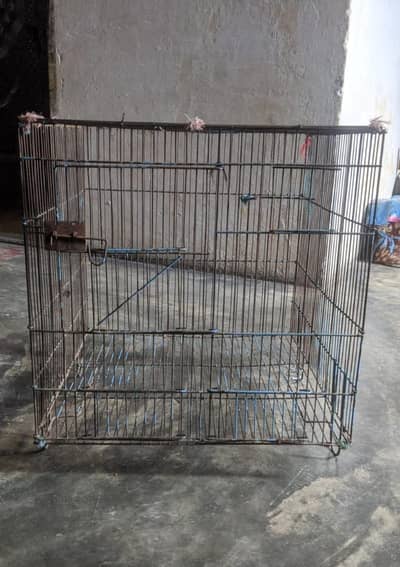 bird cage 1.5/1.5