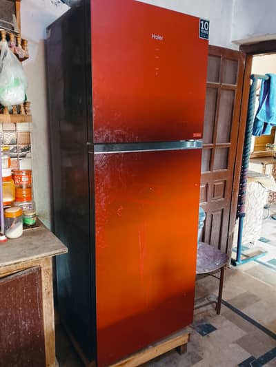 fridge for sele