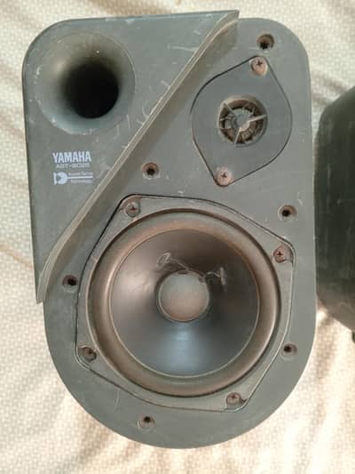 Yamaha Speaker Monitor