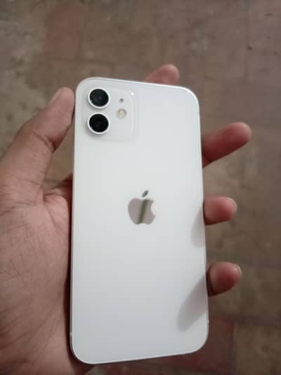 Apple iPhone 12