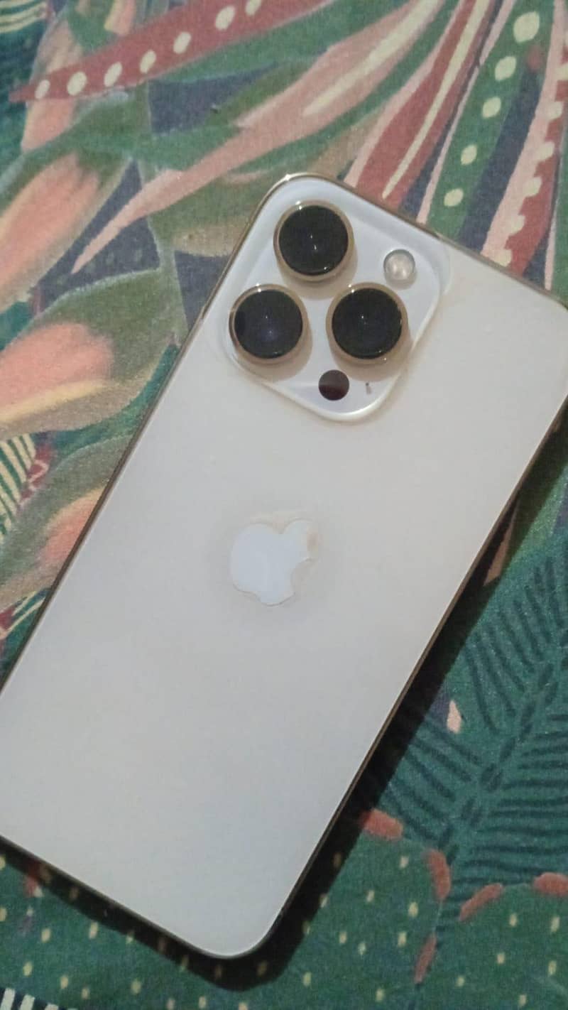 Apple iPhone 13 Pro 0