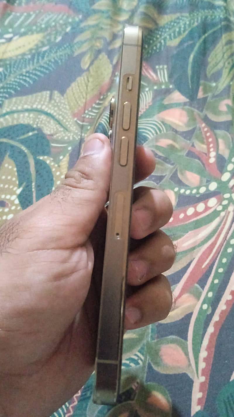 Apple iPhone 13 Pro 3