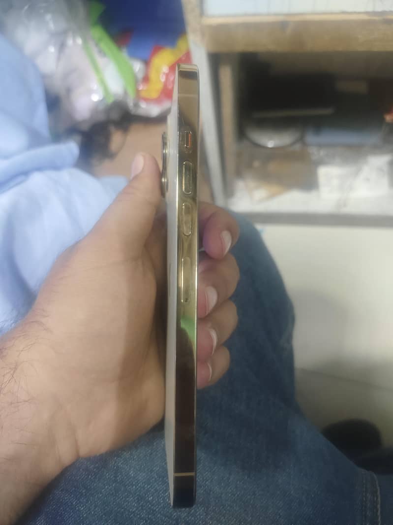 Apple iPhone 13 Pro Max 1