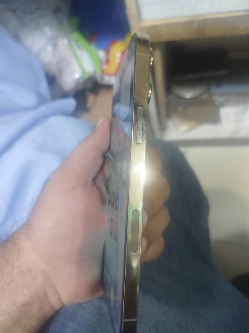 Apple iPhone 13 Pro Max 3