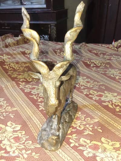 antique pice markhor baras 03164931252