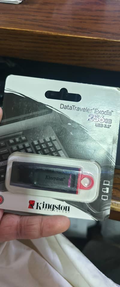 Kingston USB 256 GB