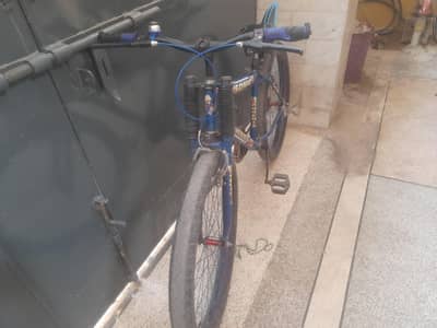 premium cycle