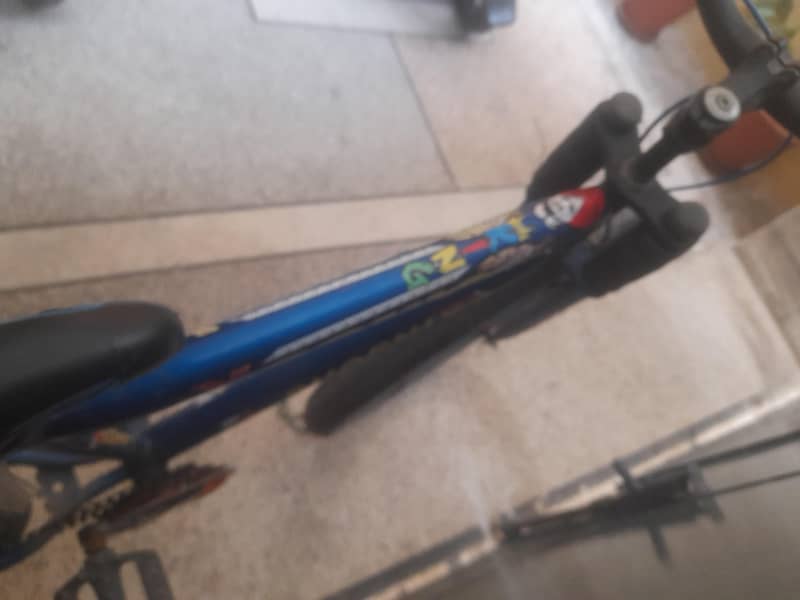 premium cycle 6