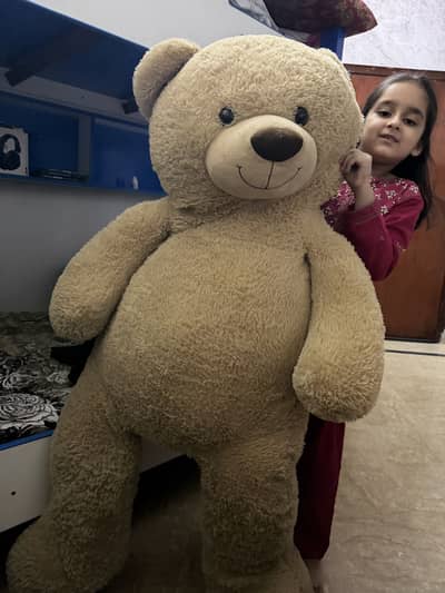 Teddy bear