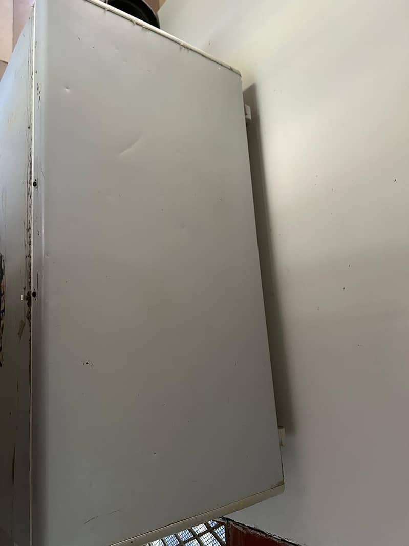 Pel D Freezer 2