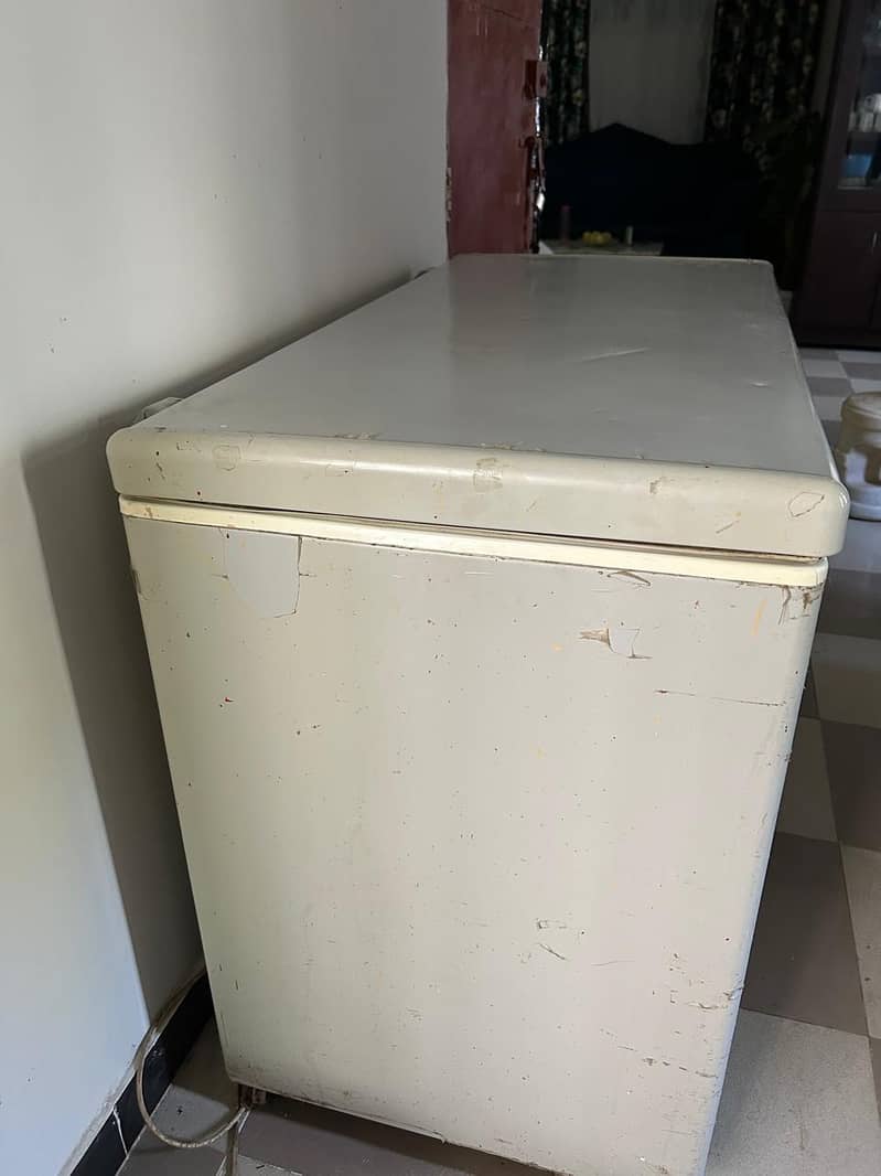 Pel D Freezer 3