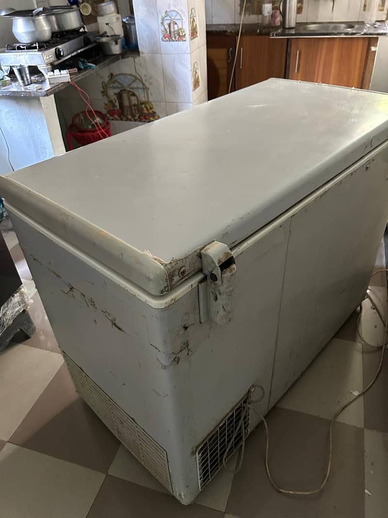Pel D Freezer 5